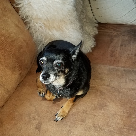 Meet your Posher, Tina - Picture 2 of 5